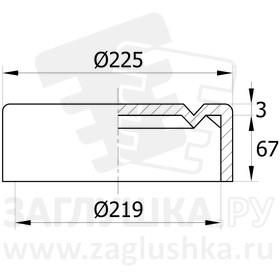 219НЧП